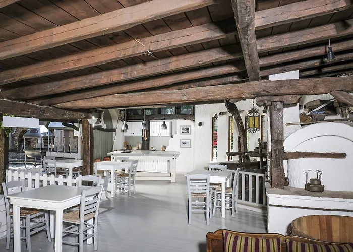 Acrotel Athena Pallas & 5* Ελιά